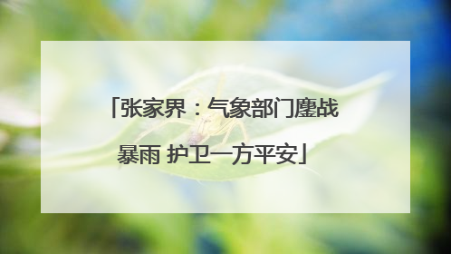 张家界：气象部门鏖战暴雨 护卫一方平安