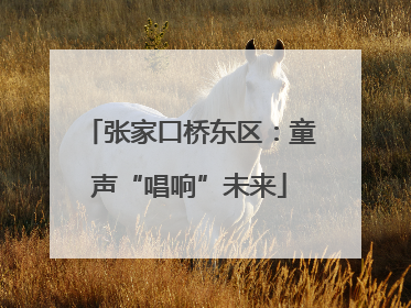 张家口桥东区：童声“唱响”未来