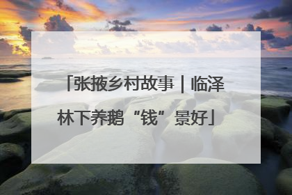 张掖乡村故事｜临泽林下养鹅“钱”景好
