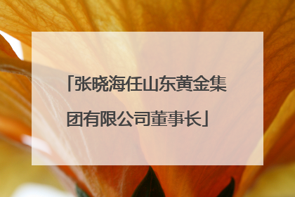 张晓海任山东黄金集团有限公司董事长
