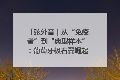 弦外音｜从“免疫者”到“典型样本”：葡萄牙极右翼崛起背后的欧洲困局