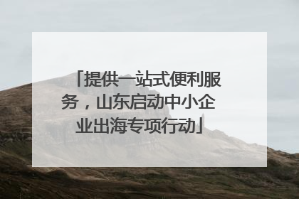 提供一站式便利服务，山东启动中小企业出海专项行动