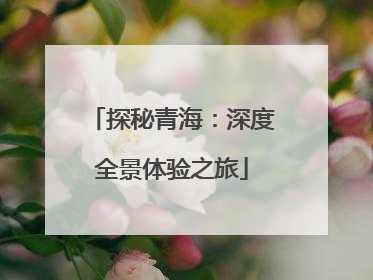 探秘青海：深度全景体验之旅