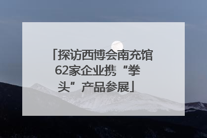 探访西博会南充馆 62家企业携“拳头”产品参展