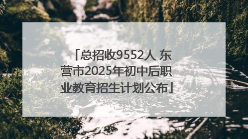 总招收9552人 东营市2025年初中后职业教育招生计划公布