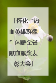 怀化“热血英雄群像”闪耀全省献血献浆表彰大会