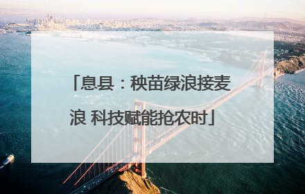 息县：秧苗绿浪接麦浪 科技赋能抢农时