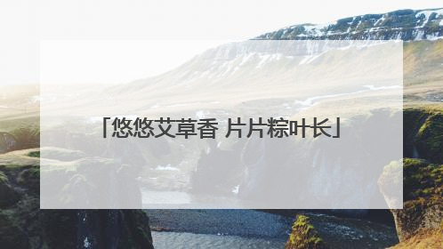 悠悠艾草香 片片粽叶长