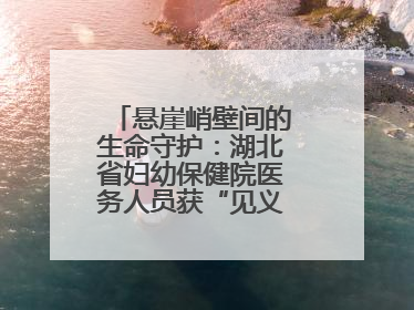 悬崖峭壁间的生命守护：湖北省妇幼保健院医务人员获“见义勇为”表彰