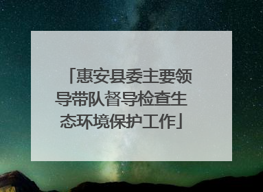 惠安县委主要领导带队督导检查生态环境保护工作