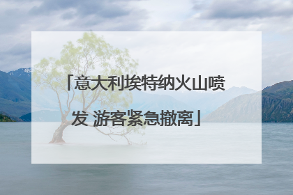 意大利埃特纳火山喷发 游客紧急撤离