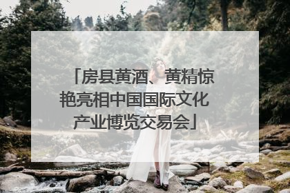 房县黄酒、黄精惊艳亮相中国国际文化产业博览交易会