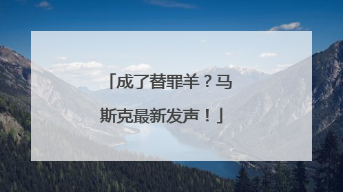 成了替罪羊？马斯克最新发声！