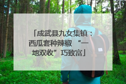 成武县九女集镇：西瓜套种辣椒 “一地双收”巧致富