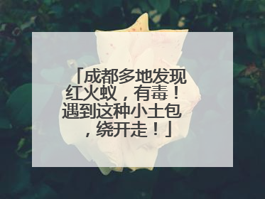 成都多地发现红火蚁，有毒！遇到这种小土包，绕开走！
