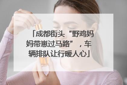 成都街头“野鸡妈妈带崽过马路”，车辆排队让行暖人心