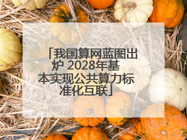 我国算网蓝图出炉 2028年基本实现公共算力标准化互联