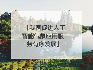 我国促进人工智能气象应用服务有序发展