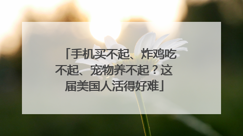 手机买不起、炸鸡吃不起、宠物养不起？这届美国人活得好难