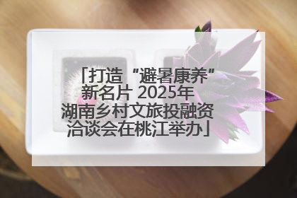 打造“避暑康养”新名片 2025年湖南乡村文旅投融资洽谈会在桃江举办