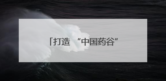 打造 “中国药谷”，驻马店市市长诚邀长三角高精尖企业入驻