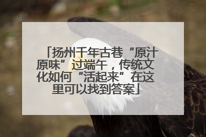 扬州千年古巷“原汁原味”过端午，传统文化如何“活起来”在这里可以找到答案