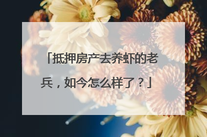 抵押房产去养虾的老兵，如今怎么样了？