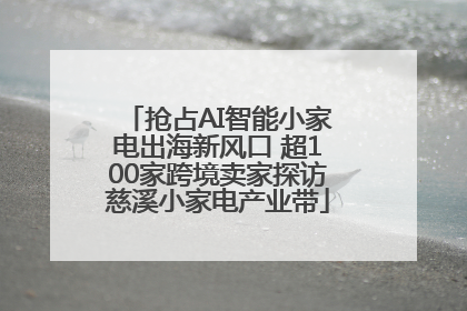 抢占AI智能小家电出海新风口 超100家跨境卖家探访慈溪小家电产业带