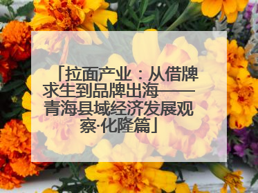 拉面产业：从借牌求生到品牌出海——青海县域经济发展观察·化隆篇