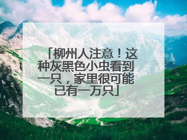 柳州人注意！这种灰黑色小虫看到一只，家里很可能已有一万只
