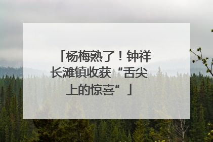 杨梅熟了！钟祥长滩镇收获“舌尖上的惊喜”