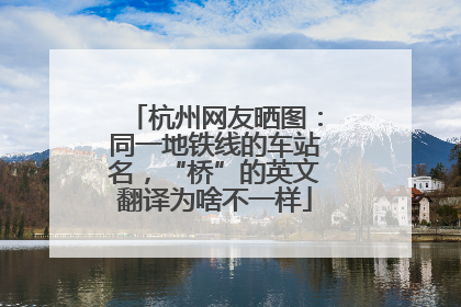 杭州网友晒图：同一地铁线的车站名，“桥”的英文翻译为啥不一样