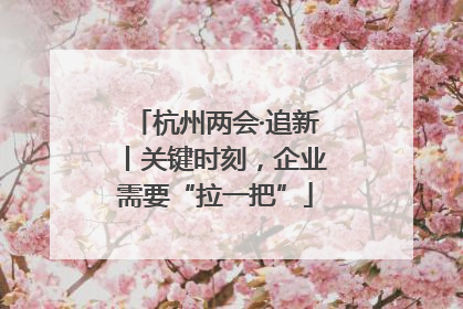 杭州两会·追新丨关键时刻，企业需要“拉一把”