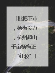 枇杷下市，杨梅接力，杭州超山千亩杨梅正“红妆”