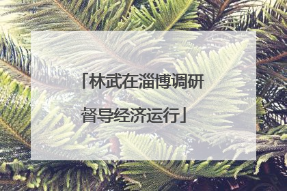 林武在淄博调研督导经济运行