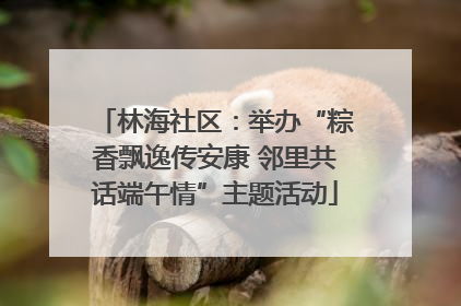 林海社区：举办“粽香飘逸传安康 邻里共话端午情”主题活动