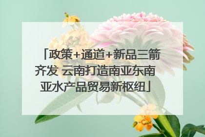 政策+通道+新品三箭齐发 云南打造南亚东南亚水产品贸易新枢纽