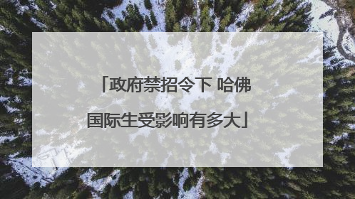 政府禁招令下 哈佛国际生受影响有多大