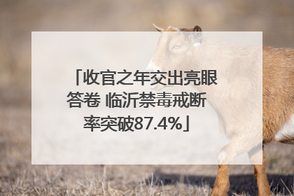 收官之年交出亮眼答卷 临沂禁毒戒断率突破87.4%