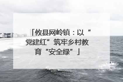 攸县网岭镇：以“党建红”筑牢乡村教育“安全绿”