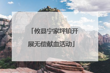攸县宁家坪镇开展无偿献血活动