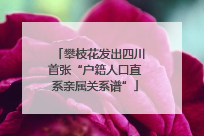 攀枝花发出四川首张“户籍人口直系亲属关系谱”