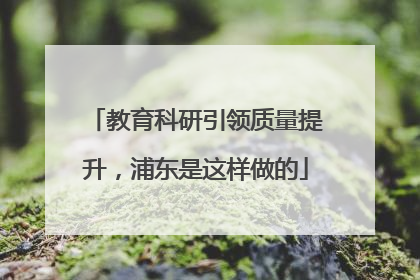 教育科研引领质量提升，浦东是这样做的