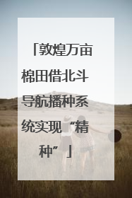 敦煌万亩棉田借北斗导航播种系统实现“精种”