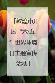 敦煌市开展“六·五”世界环境日主题宣传活动