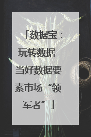 数据宝：玩转数据 当好数据要素市场“领军者”