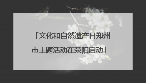 文化和自然遗产日郑州市主题活动在荥阳启动