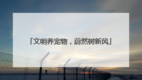 文明养宠物，蔚然树新风