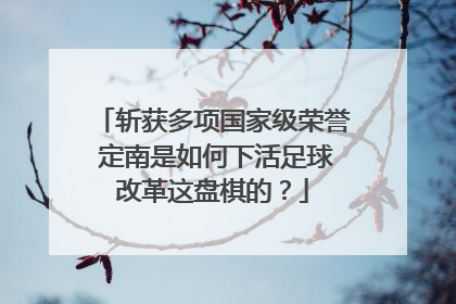 斩获多项国家级荣誉 定南是如何下活足球改革这盘棋的？