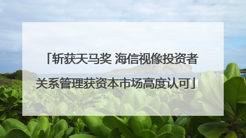 斩获天马奖 海信视像投资者关系管理获资本市场高度认可